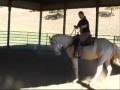 Cremello Stallion, Ghost in the Doc