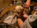 Chase Bath 2007 Chase Bath 2007