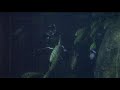 Franco's Sharkdive @ Sea Life Munich