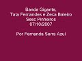 banda gigante tata fernandes e zeca baleiro