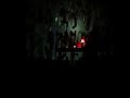powerful agf's (a.k.a. antye greie) live performance at s?odownia in pozna?. (22.02.2008).
voice + word + let's silence protect us.