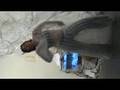 deCoy99 Transparent Passion Trance Dance Excerpt