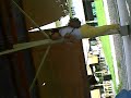 July 18,2008(d day b4 sir manio's b-day) vid.4
