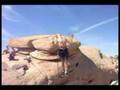 Slacklife