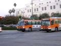 videos de MTA 1385