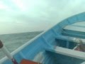 El Golfo De Santa Clara Playing with Whales part 2