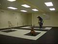 Dog Training Area 51 (k9-1.com)