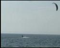Yanosik KITE FIRST SPEED