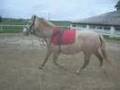 stage boujailles juin2008 les videos