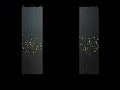 VT RPN VIDEO.mov