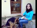 Zeus forchettina 5 mesi