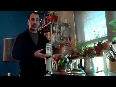 how to fertilize cactus