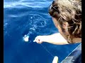 pesca alla lampuga