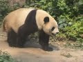 Beijing juni 2007