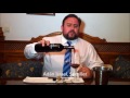 VIDEOCATA DON OCTAVIO TEMPRANILLO CRIANZA