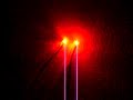 Dualer LED Mikro Multiblitzer Rot 1x 2x und 3x Blitz Dualer LED Mikro Multiblitzer Rot 1x 2x und 3x Blitz