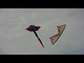Painting with a kite by Polo