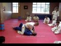 Escaping the Mount: UPA View Video