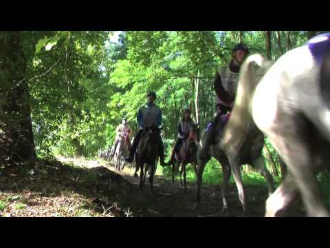 endurance - Il video promozionale del film girato durante il Campionato del Mondo FEI Endurance 2009 Under 21, che si è tenuto a Bàbolna (Ungheria) il 5 Settembre scorso...