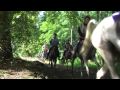 FEI World Endurance Champ YR 09 (Babolna - HUN) - Forever - The Veronicas