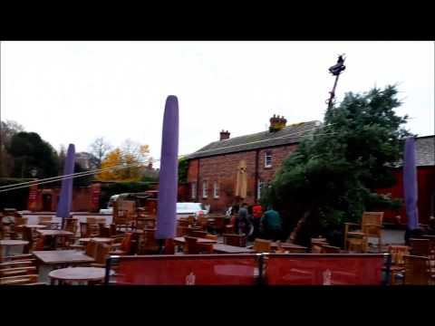 how to put up a christmas tree