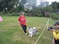 Z�vody agility ( kategorie baby ) - BOC Beauty