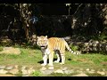 sfzoo redon