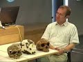 chris-stringer-on-early-human-evolution3.html
