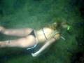 Apnéia com os golfinhos - Apnea with dolphins