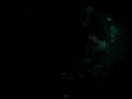 Hawaii Manta Ray Night Dive