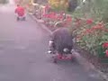 Dreirad vs. Trecker Nr. 3 - Der Crash