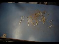 Stop Motion con broches: grupo \"Friends\"