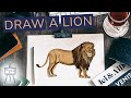 How to Draw a Lion Lions to Draw Easy
