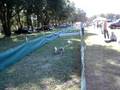videos de Little Bit Hurdle Racing