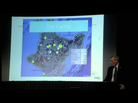 how to fertilize new zealand flax
