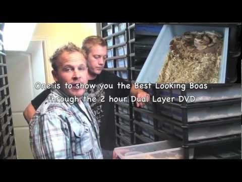YouTube reptile video