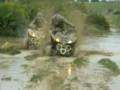 QUAD ATASCADO