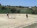 Equitazione: salto croce singola 12-07-2008