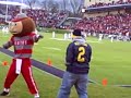 Brutus vs. Michigan Fan Brutus vs. Michigan Fan