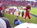 Brutus vs. Michigan Fan