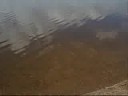 videos kitesurf