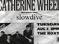 the catherine wheel formed in 1990, comprised of singer/guitarist rob dickinson, guitarist brian futter, bassist dave hawes, and drummer neil sims. they took their moniker from the firework known as the catherine wheel named from the medeival torture device. the band was often included in the 
