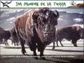 CUIDEMOS-EL-PLANETA