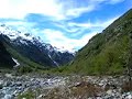 Área de Conservación del Huemul en Ñuble Chile