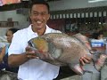 Explore Tahiti & Moorea Islands Explore Tahiti & Moorea Islands