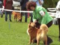 Keuring open klasse Keuring open klasse