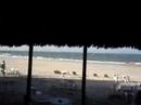 Paulinho  j� comemora  Brasileir�o 2007 em Canoa Quebrada!