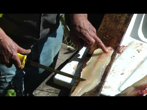 how to remove northern pike y bones