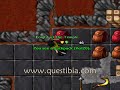 V Shield/ D Lance Quest