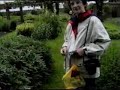 Kew Gardens UK